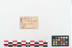 Etiketten zu Bronzezwergknebel (NHMW-PRAE-024106)